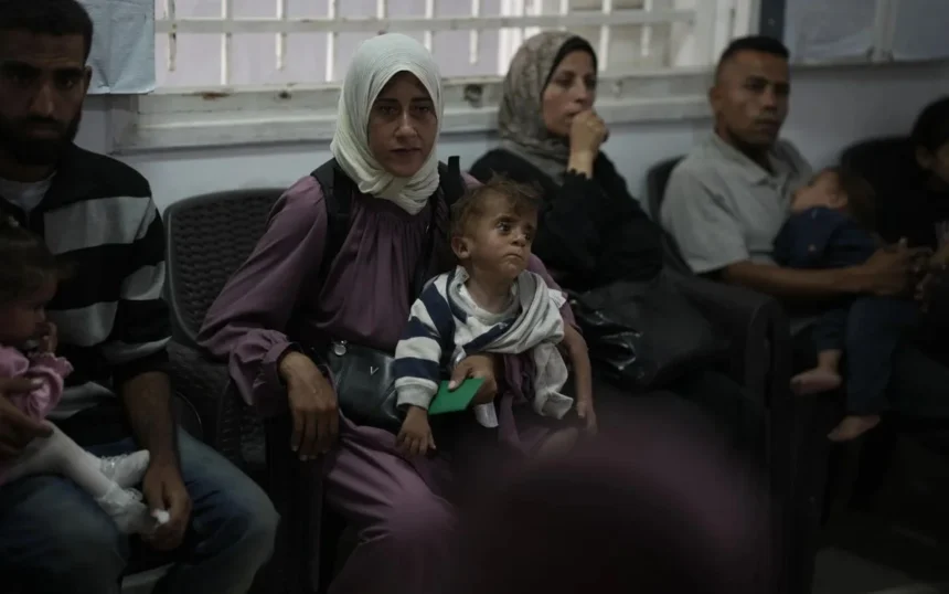 Israel has ‘manufactured malnutrition crisis in Gaza — MSF