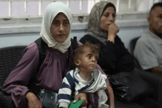 The devastating impact of Israels manufactured malnutrition crisis in Gaza